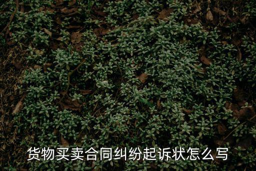 貨物買賣合同糾紛起訴狀怎么寫