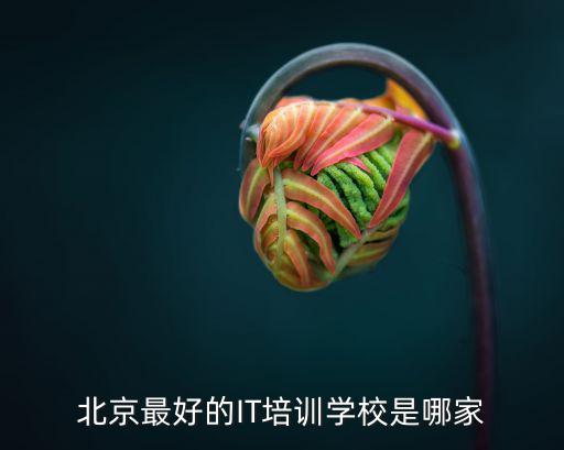 北京最好的IT培訓(xùn)學(xué)校是哪家