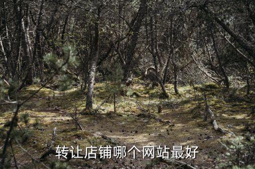 轉(zhuǎn)鋪面哪個平臺好一點，急急急2018鋪面轉(zhuǎn)讓哪個平臺網(wǎng)比較好