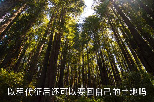 以租代征后還可以要回自己的土地嗎