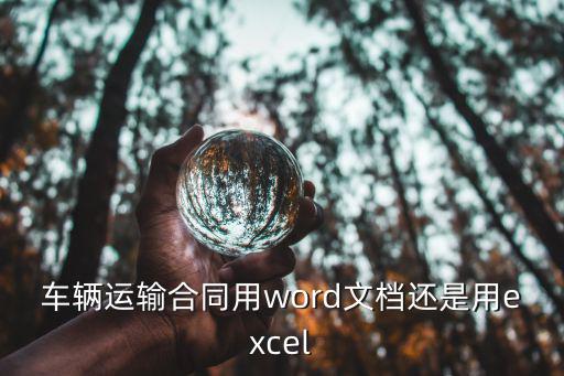 車輛運(yùn)輸合同用word文檔還是用excel