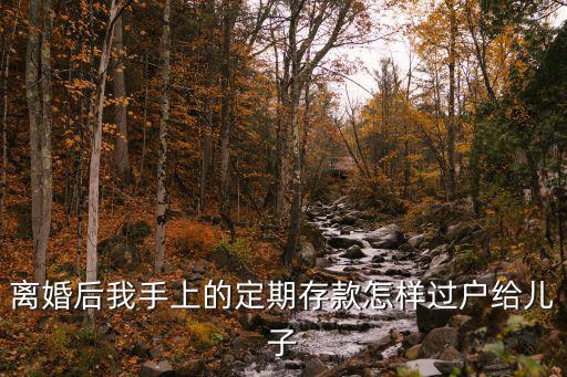 離婚后我手上的定期存款怎樣過(guò)戶給兒子
