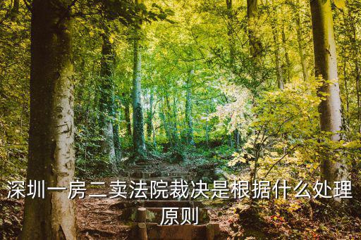 深圳一房二賣法院裁決是根據(jù)什么處理原則