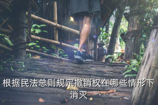 根據(jù)民法總則規(guī)定撤銷權(quán)在哪些情形下消滅