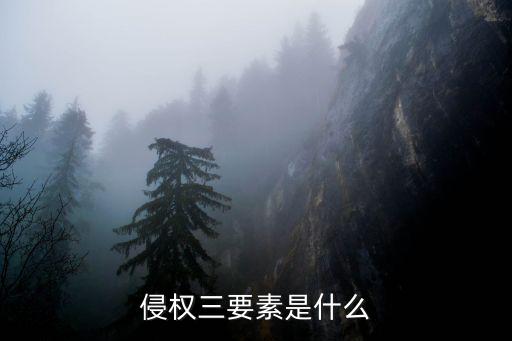 侵權三要素是什么