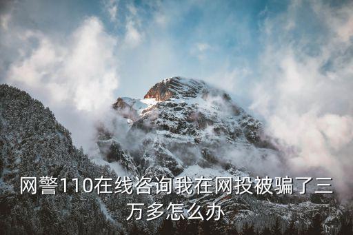 網(wǎng)警110在線咨詢我在網(wǎng)投被騙了三萬多怎么辦