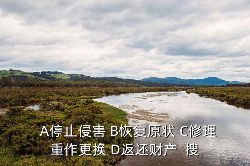   A停止侵害 B恢復(fù)原狀 C修理重作更換 D返還財產(chǎn)  搜