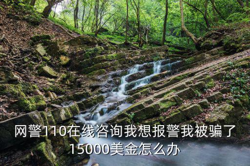 網(wǎng)絡(luò)詐騙110在線咨詢，網(wǎng)上被騙了怎么報(bào)警電話是多少