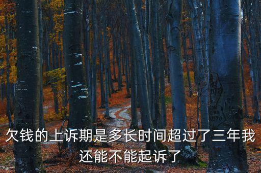 欠錢的上訴期是多長時間超過了三年我還能不能起訴了