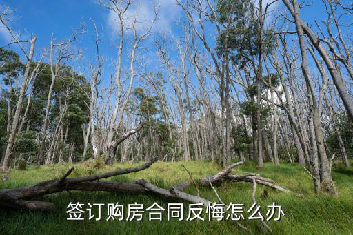 簽訂購房合同反悔怎么辦