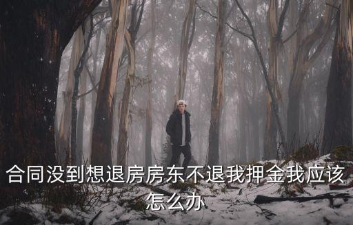 合同沒到期找房東退押金絕招，合同沒到想退房房東不退我押金我應(yīng)該怎么辦