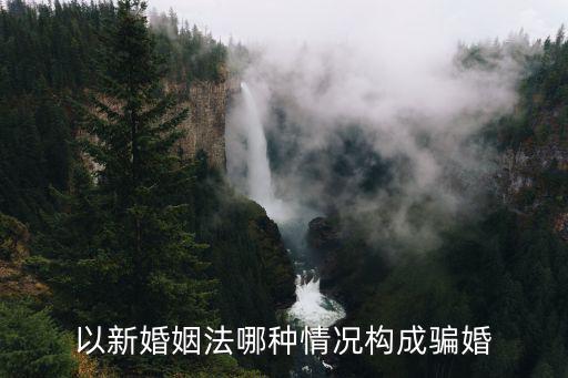 以新婚姻法哪種情況構(gòu)成騙婚