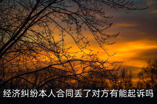 經(jīng)濟(jì)糾紛本人合同丟了對(duì)方有能起訴嗎