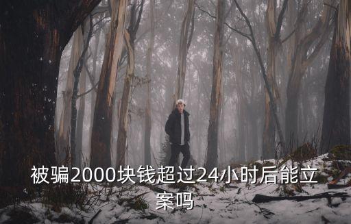 民事糾紛2000元夠立案嗎，我想問一下這2000元可以通過民事訴訟告他嗎中間會產(chǎn)生多少費(fèi)用
