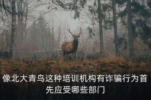 像北大青鳥這種培訓(xùn)機(jī)構(gòu)有詐騙行為首先應(yīng)受哪些部門