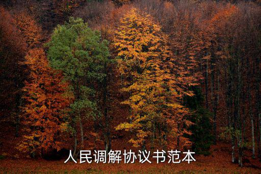 民事糾紛調(diào)解協(xié)議書格式范文，調(diào)解協(xié)議書怎么寫
