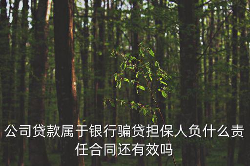 騙貸簽了合同有效嗎知乎，我被朋友騙貸30萬擔(dān)保人讓我寫成借款人了我是不是沒有清白了