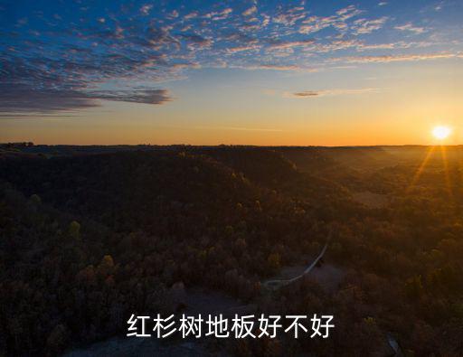 紅杉樹裝飾有限公司裝修的怎樣，紅杉樹地板好不好