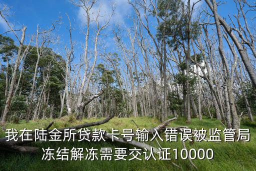 我在陸金所貸款卡號(hào)輸入錯(cuò)誤被監(jiān)管局凍結(jié)解凍需要交認(rèn)證10000