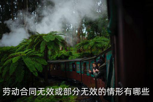 勞動(dòng)合同無(wú)效或部分無(wú)效的情形有哪些