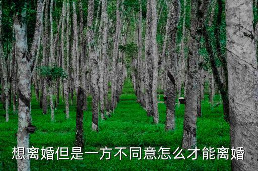 想離婚但是一方不同意怎么才能離婚
