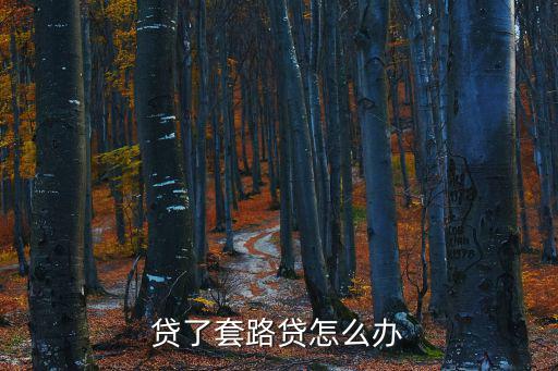 貸了套路貸怎么辦