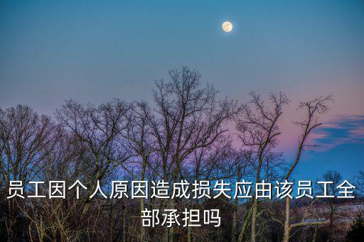 員工因個(gè)人原因造成損失應(yīng)由該員工全部承擔(dān)嗎