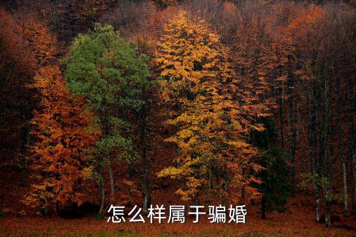 新婚姻法什么叫騙婚，以新婚姻法哪種情況構(gòu)成騙婚