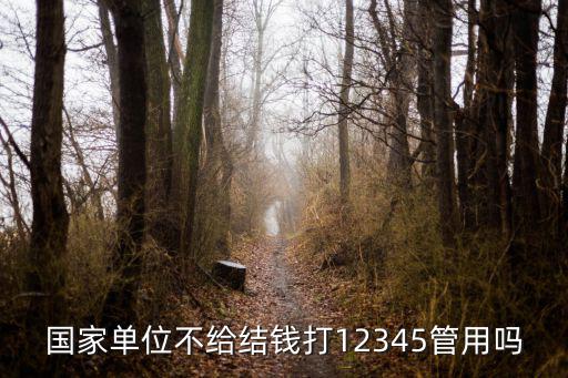 上海拖欠工資打12345管用嗎，上海12345投訴有用嗎