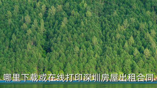 哪里下載或在線打印深圳房屋出租合同