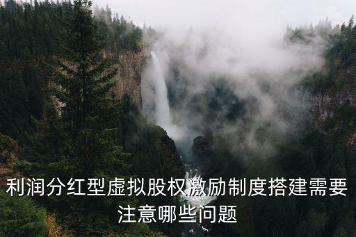 利潤分紅型虛擬股權(quán)激勵制度搭建需要注意哪些問題