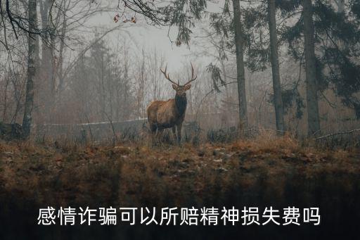 感情詐騙可以所賠精神損失費(fèi)嗎