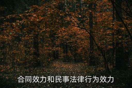 民法典 合同效力，合同效力和民事法律行為效力