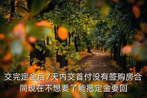 交完定金后7天內(nèi)交首付沒有簽購房合同現(xiàn)在不想要了能把定金要回