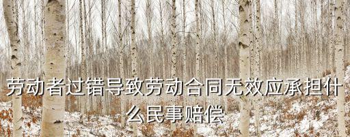 勞動(dòng)者過錯(cuò)導(dǎo)致勞動(dòng)合同無效應(yīng)承擔(dān)什么民事賠償