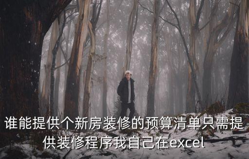誰能提供個(gè)新房裝修的預(yù)算清單只需提供裝修程序我自己在excel