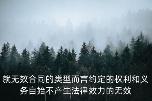 就無效合同的類型而言約定的權(quán)利和義務(wù)自始不產(chǎn)生法律效力的無效