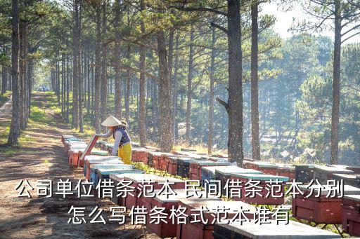 公司單位借條范本 民間借條范本分別怎么寫借條格式范本誰有