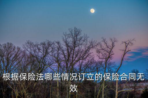 根據(jù)保險(xiǎn)法哪些情況訂立的保險(xiǎn)合同無(wú)效