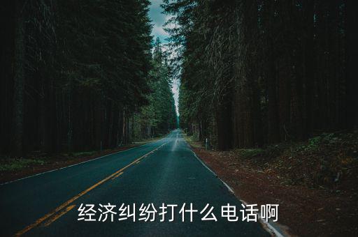 經(jīng)濟糾紛打什么電話啊