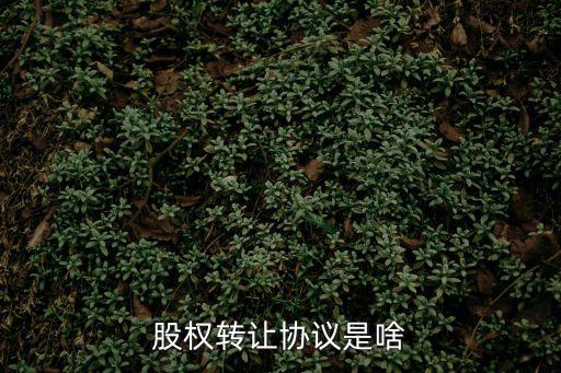 股權轉讓協(xié)議是啥