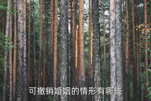 可撤銷(xiāo)婚姻的情形有哪些