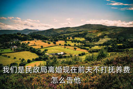 我們是民政局離婚現(xiàn)在前夫不打撫養(yǎng)費怎么告他