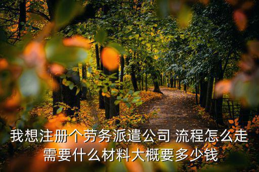 辦勞務(wù)公司需要哪些手續(xù)，我想注冊個勞務(wù)派遣公司 流程怎么走 需要什么材料大概要多少錢