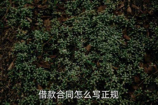 借款合同怎么寫(xiě)正規(guī)