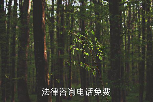 法律免費咨詢電話12348，法律援助熱線12348是免費的么