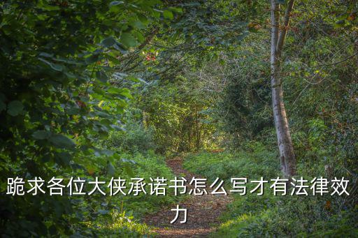 具有法律效益的承諾書怎么寫，怎樣寫保證書才有法律效力