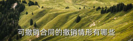 買賣合同可撤銷的情形，可撤銷合同應具備哪些條件哪些情形下
