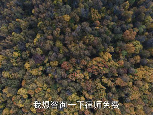 我想咨詢一下律師免費