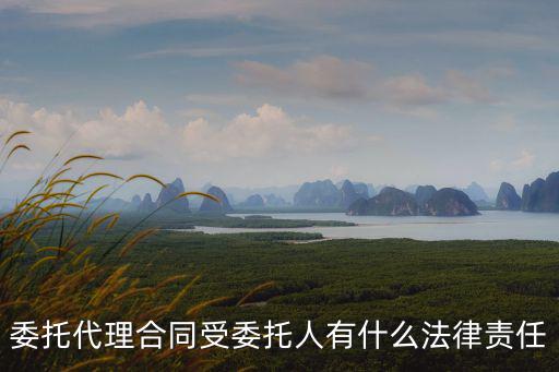 合同法關于委托的規(guī)定，委托合同相關法律規(guī)定有哪些